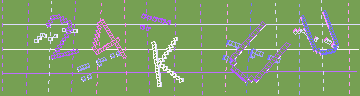 確認代碼