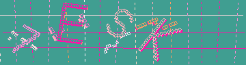 確認代碼