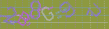 確認代碼