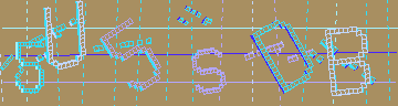 確認代碼