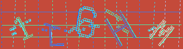 確認代碼