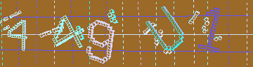 確認代碼
