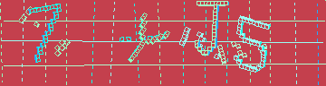 確認代碼