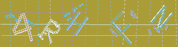 確認代碼