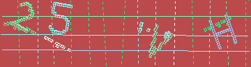 確認代碼