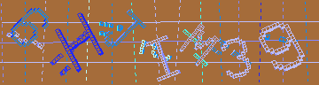 確認代碼