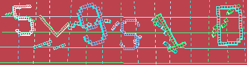 確認代碼