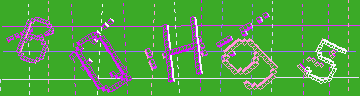 確認代碼