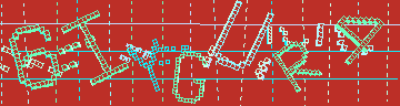 確認代碼