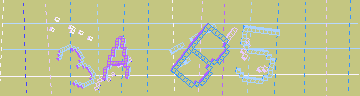 確認代碼