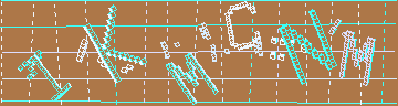 確認代碼