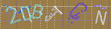 確認代碼