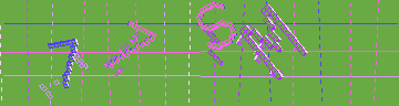 確認代碼