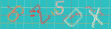 確認代碼