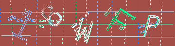 確認代碼