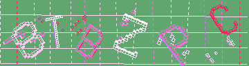 確認代碼