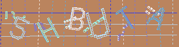 確認代碼