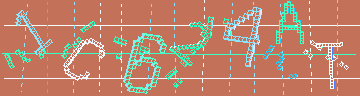 確認代碼