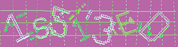 確認代碼