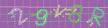 確認代碼
