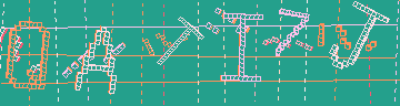 確認代碼