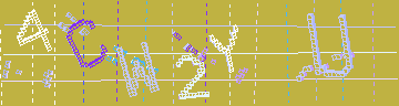 確認代碼