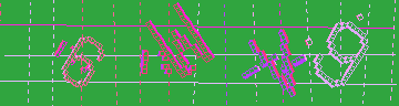 確認代碼