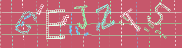 確認代碼
