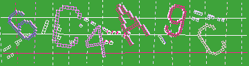 確認代碼