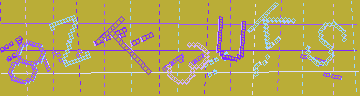 確認代碼