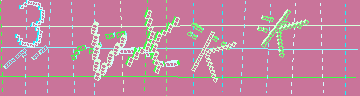 確認代碼