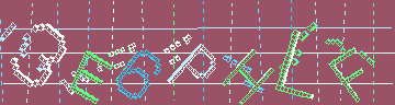 確認代碼