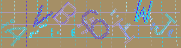 確認代碼