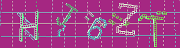 確認代碼