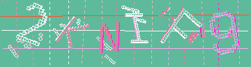 確認代碼