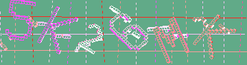 確認代碼