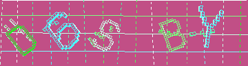 確認代碼