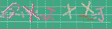 確認代碼