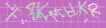 確認代碼