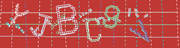 確認代碼