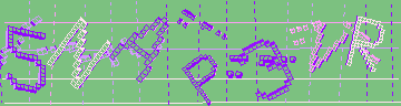 確認代碼