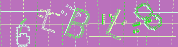 確認代碼