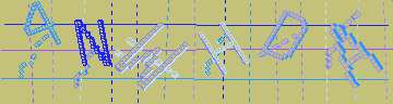 確認代碼