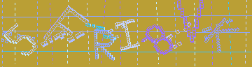 確認代碼