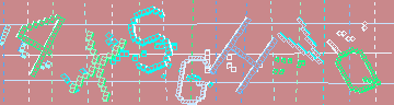 確認代碼