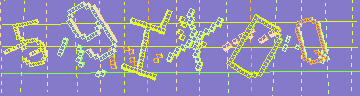 確認代碼