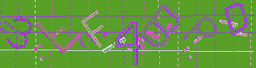 確認代碼