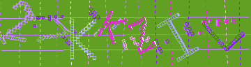 確認代碼