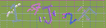 確認代碼