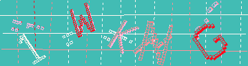 確認代碼